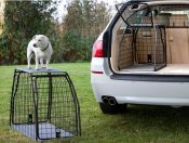 Hundbur Peugeot Rifter från 2019-